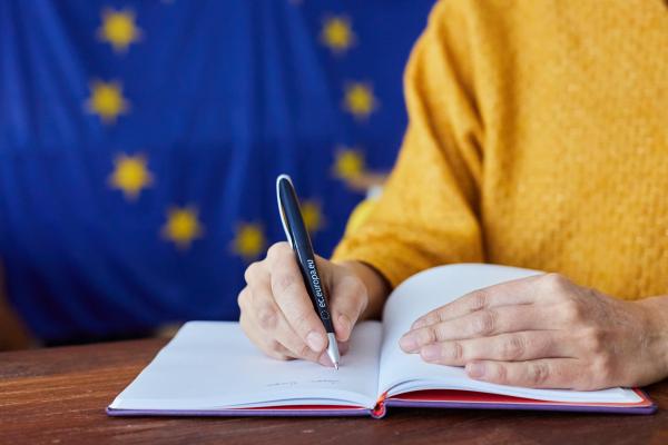 Symbolic - EU pen and flag